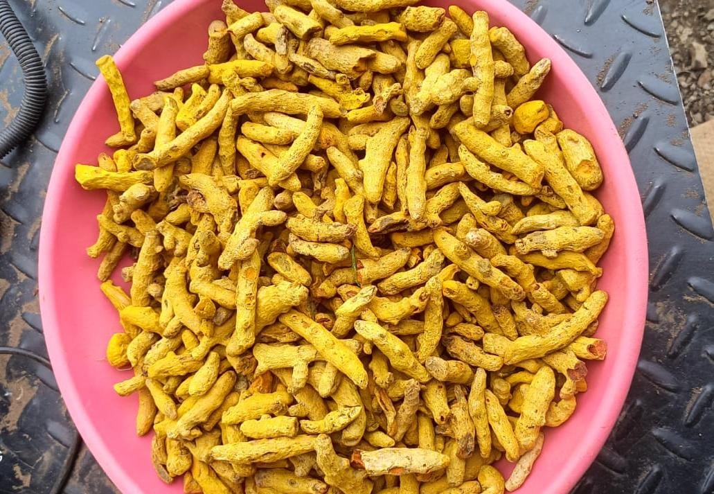 Turmeric